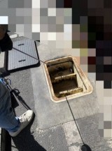 見積